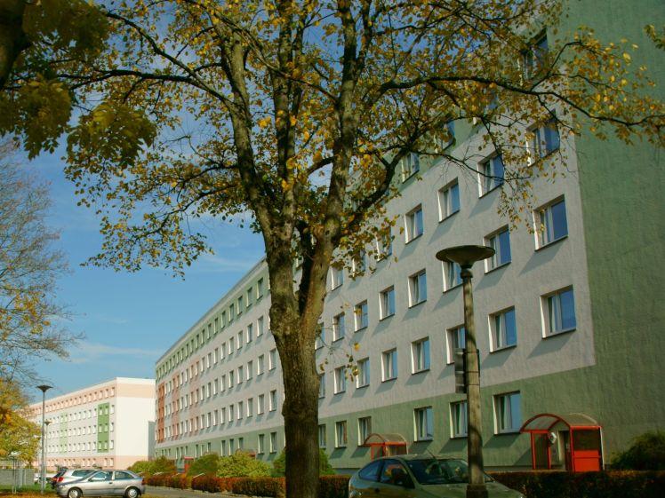 wohnen und wohlfühlen - Foto 1