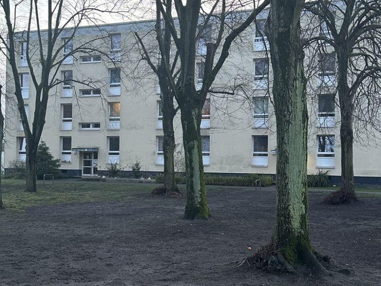 Wohnung, EG, links, Dresdener Ring 39 - Foto 1