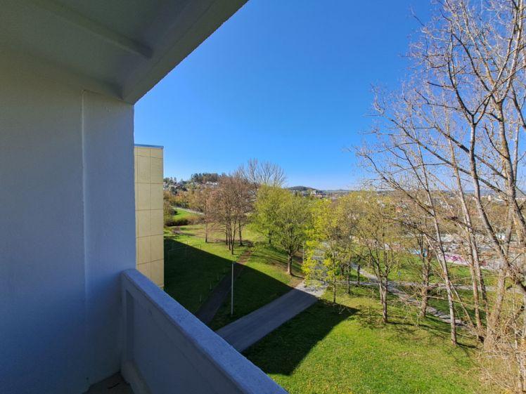 Familienfreundliche 4-Raumwohnung im Osten von Plauen - Foto 1