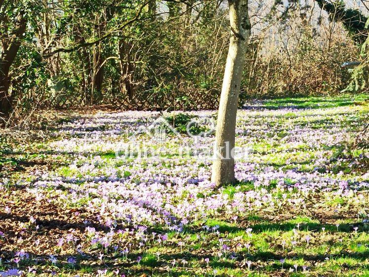 Zentral und Natur nah - Foto 1