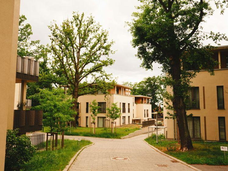 Gepflegte 3 - Zimmer Wohnung mit Terrasse und Garten in Dresden- Trachenberge - Photo 1