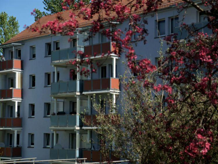 wohnen und wohlfühlen - Foto 1