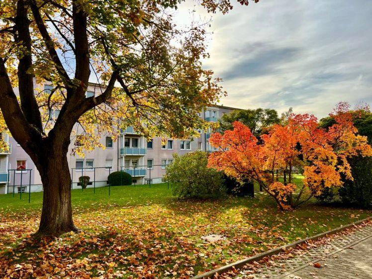 KLEIN aber FEIN *Tolle 2-Raumwohnung in ruhiger Lage* - Photo 1