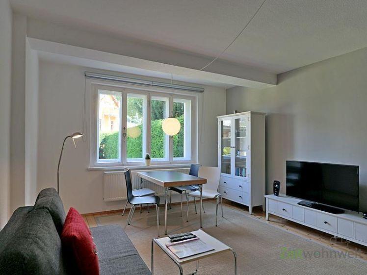 (EF0696_M) Dresden: Kleinzschachwitz, moderne ebenerdige Wohnung in ruhiger elbnaher Lage, eigene Terrasse, WLAN inkl. - Foto 1