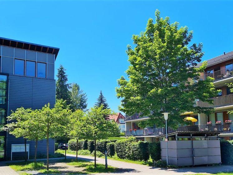 ***Große Dreiraumwohnung im Erdgeschoss mit Terrasse - in Top Lage*** - Photo 1