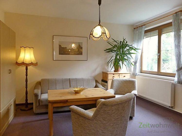 (EF0584_M) Dresden: Blasewitz, möblierte 1,5-Zimmer Wohnung zwischen Waldpark und Elbe - Foto 1