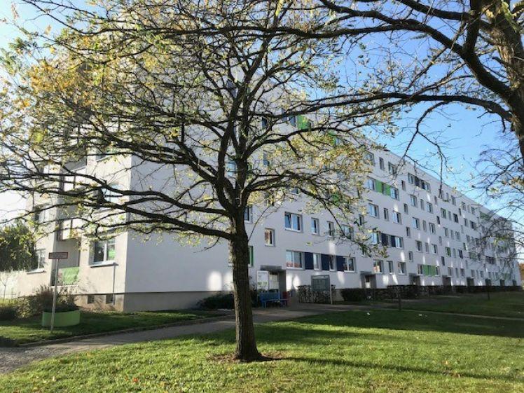 Hier wird für Sie frisch renoviert! - Foto 1