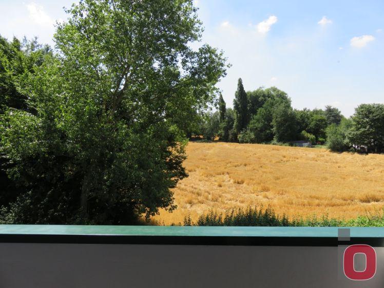 Ideales Single-Appartement direkt am Feldrand - Photo 1