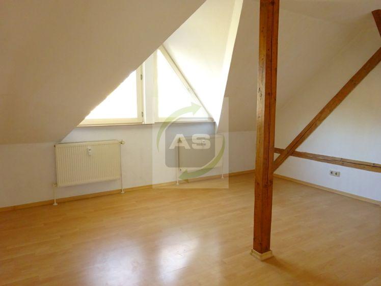 Schlobigpark + Muldenradweg gleich vor der Tür - Photo 1