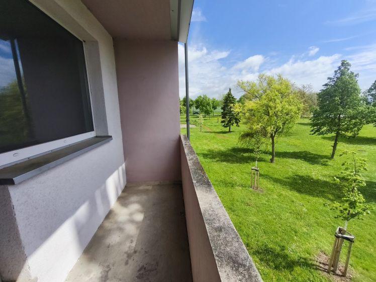 Zweiraumwohnung frisch renoviert mit Blick ins Grüne! - Photo 1
