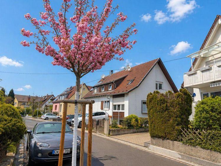 Family Paradise in Renningen end of May - Gemütliches Haus (DHH) mit Garten und grosser Dachterrasse ab Ende Mai! - Foto 1