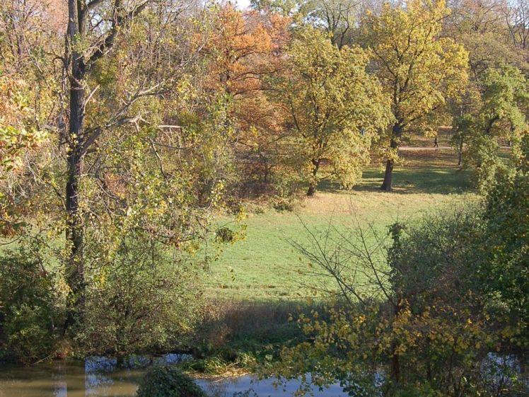 3-Raum-Wohnung im 2.OG, am Torgauer-Glacis - Photo 1