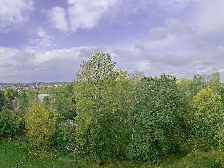 Hoch hinaus - den Ausblick auf dem neuen Balkon genießen - Photo 1
