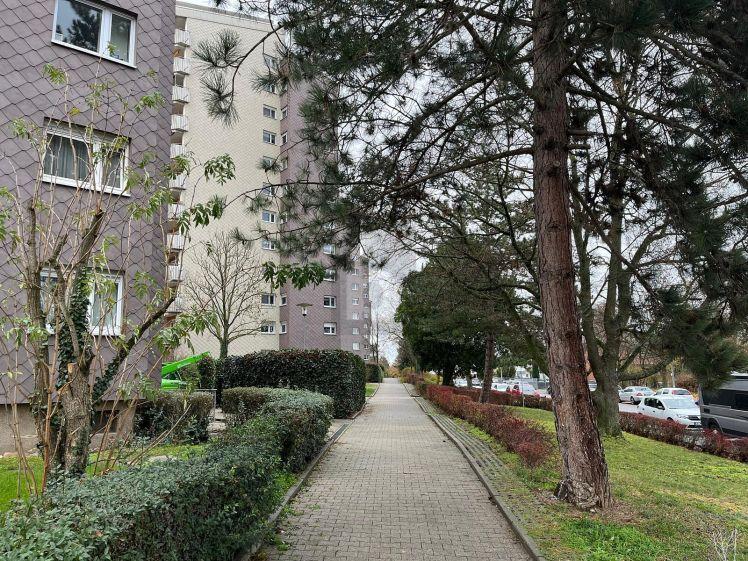 EINZIEHEN UND SICH WOHLFÜHLEN - Foto 1