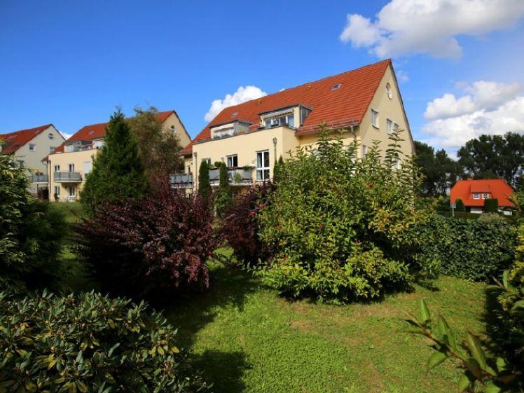 Hübsche Wohnung mit Balkon und TG-SP in Reinsdorf/Vielau ! - Foto 1
