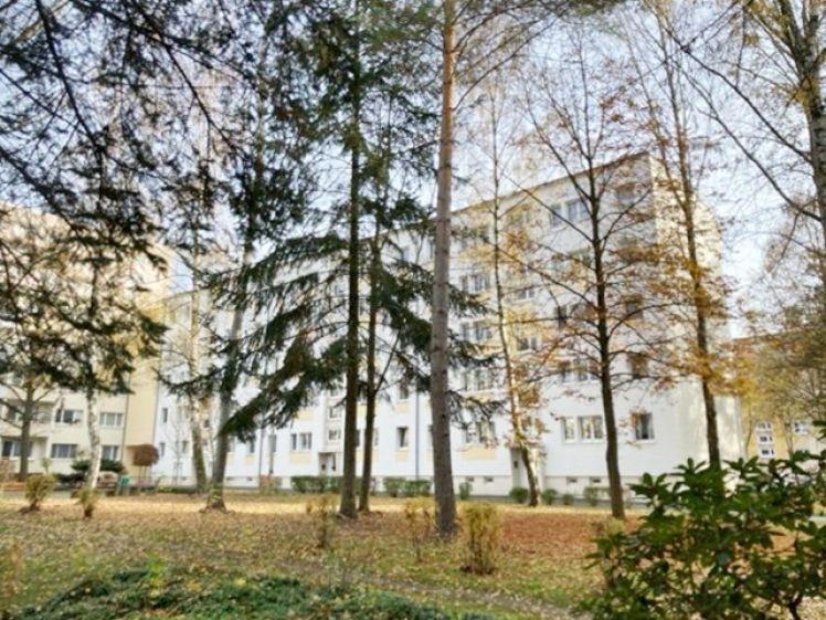 Der Balkon hat Saison- Frisch Sanierte 3-Raum Wohnung im EG! - Photo 1