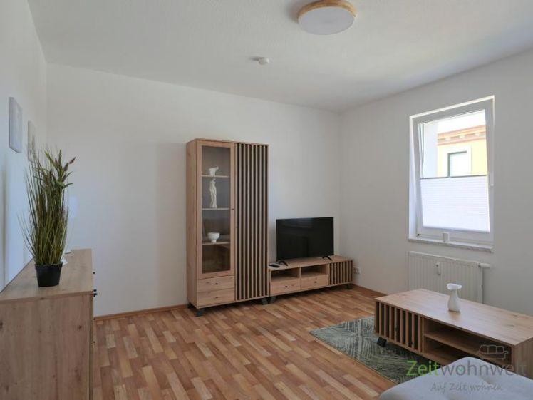 (EF1424_M) Halle: Trotha, neu möblierte 2-Zimmer-Wohnung, Garten am Haus, Waschmaschine vorhanden - Foto 1