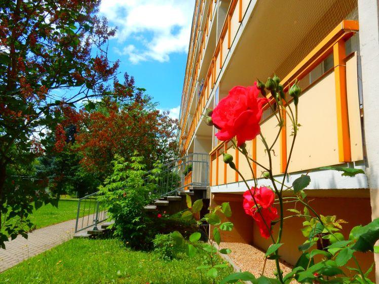 Wunderschöne Wohnung im 1. OG mit Dusche! - Foto 1