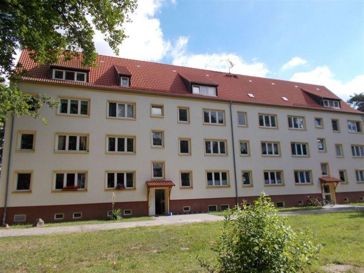 3R-Wohnung in ruhiger Lage von Elsnig - Familienfreundlich - Foto 1
