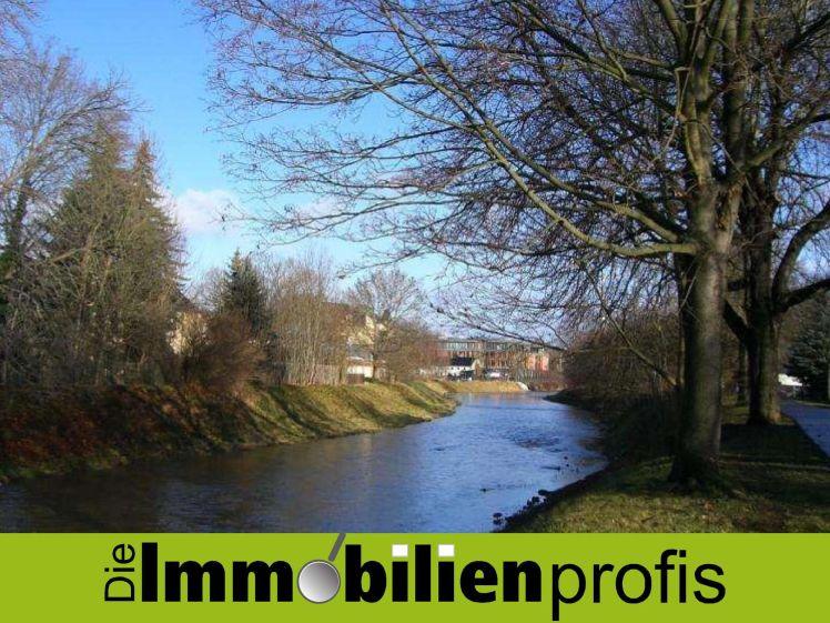 Dachgeschosswohnung auf 2 Ebenen mit Balkon in 3-Fam.Haus in Plauen - Foto 1