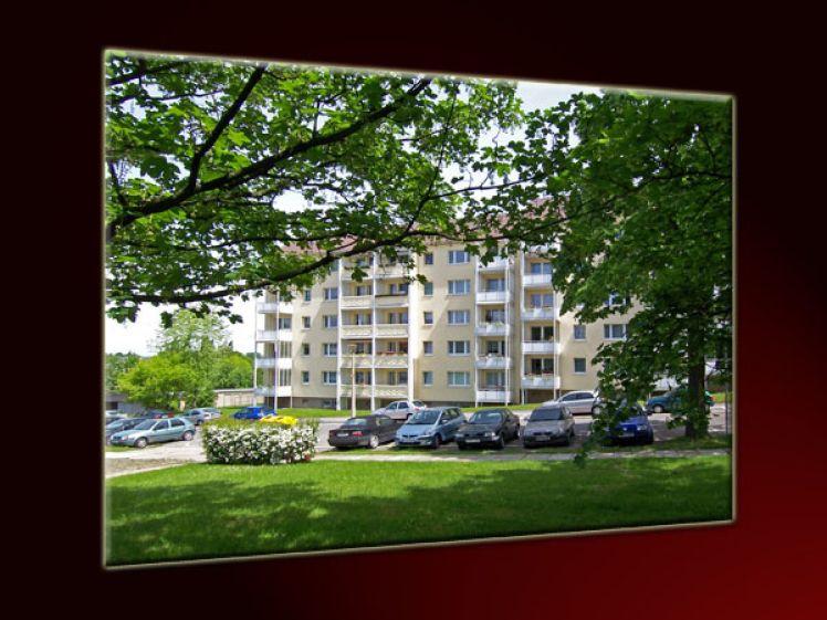 Großer Balkon... Laminat... frisch gemalert... - Photo 1