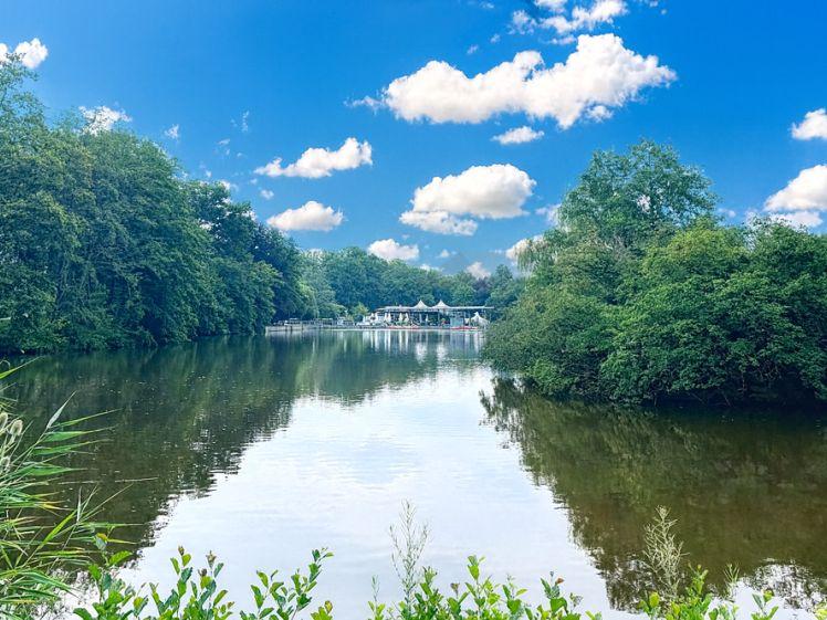 Ideal für Senioren - Barrierefreie 2-Raum-Wohnung am Pelzmühlenteich mit EBK & sonnigem Balkon - Photo 1