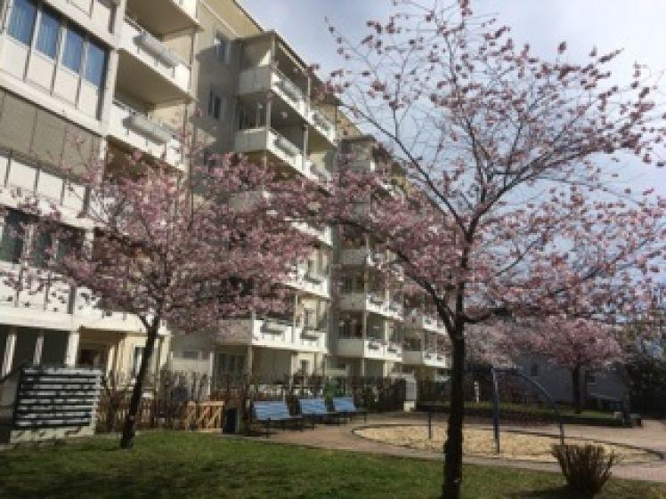 Familienfreundliches Zuhause mit Garten und modernem Wannenbad entdecken - Photo 1