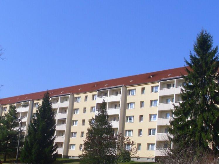 schöne 2- Raumwohnung mit Dusche - Foto 1