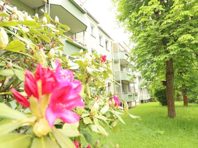 2-Raumwohnung mit Balkon - Photo 1