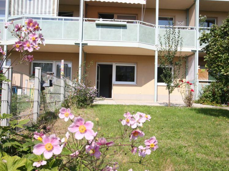 Schöne 2-Raumwohnung mit Mietergarten im idyllischen Birkenpark - Photo 1