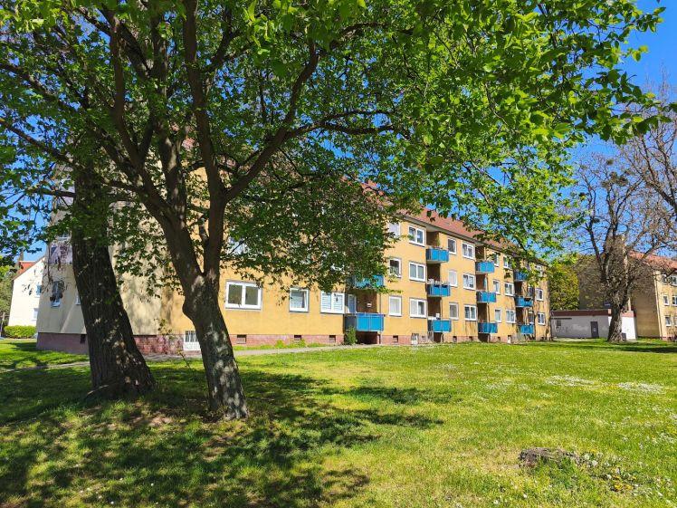 Modernes Zuhause im Erdgeschoss – frisch saniert - Photo 1