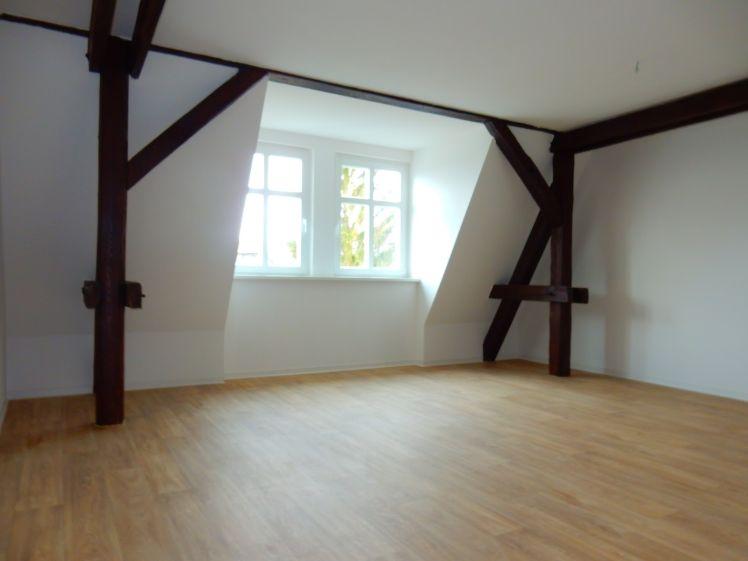 Urgemütliche Dachgeschosswohnung sucht Nachmieter - Foto 1