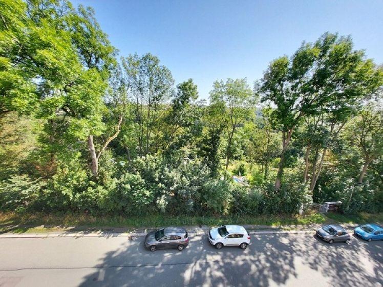 Schöne helle 3-Raum-Wohnung in Randlage - Foto 1