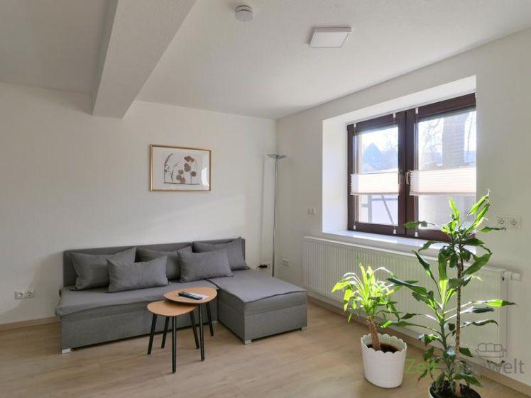 (EF1360_M) Arnstadt: Alkersleben, neu möblierte Wohnung mit eigenem Hauseingang, großer Außenbereich mit Terrasse - Foto 1