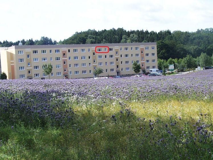 Wohnen am Kurpark - Foto 1