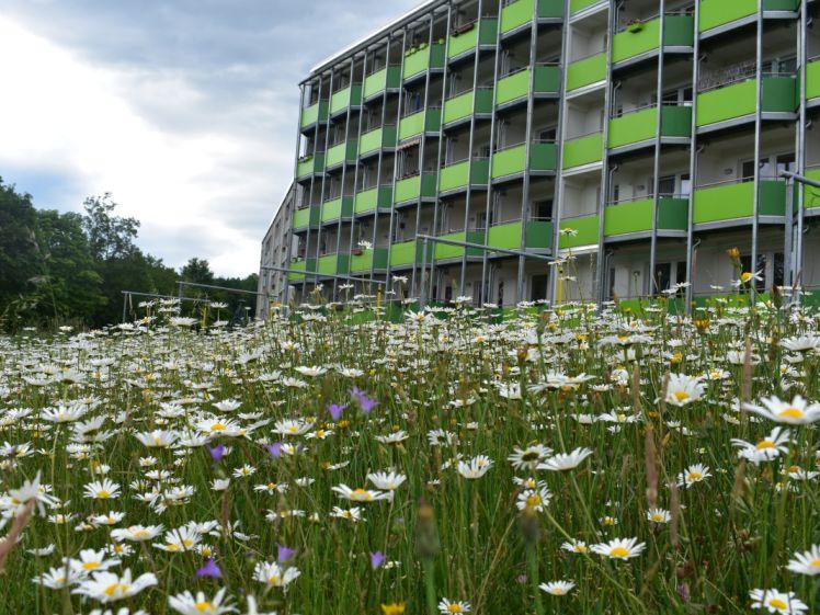 Komfortable 2-Zimmer-Wohnung mit Südbalkon im modernen Mehrgenerationenhaus - Photo 1