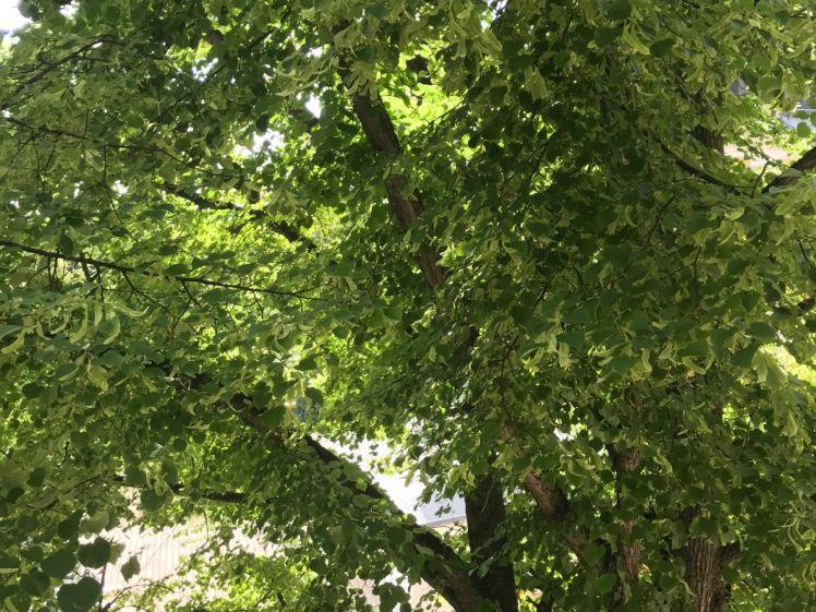 Bonhoeffer 146-06 - Photo 1