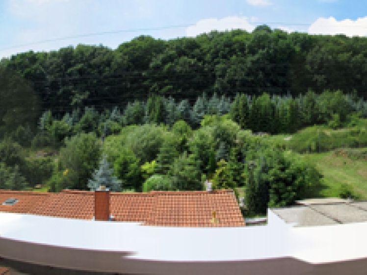 Maisonettewohnung 4 Zimmer Stadtrand - Photo 1