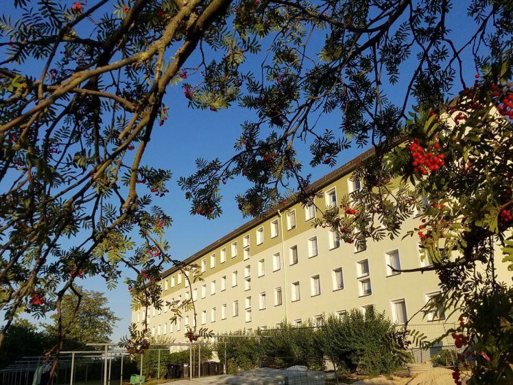 Komplett modernisierte 2-Raum-WE in Neumark - Foto 1