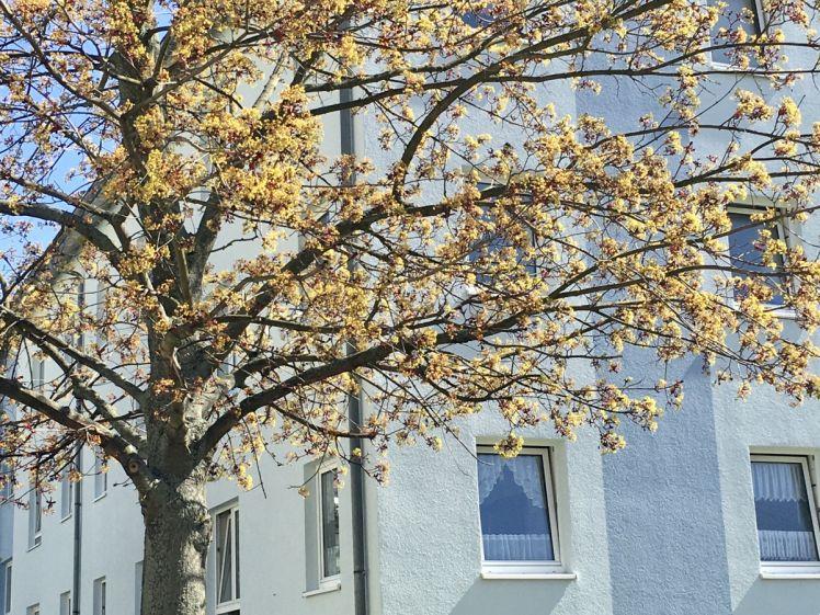 modernisierte 2-Raum Wohnung Hainichen/Mittweida - Foto 1