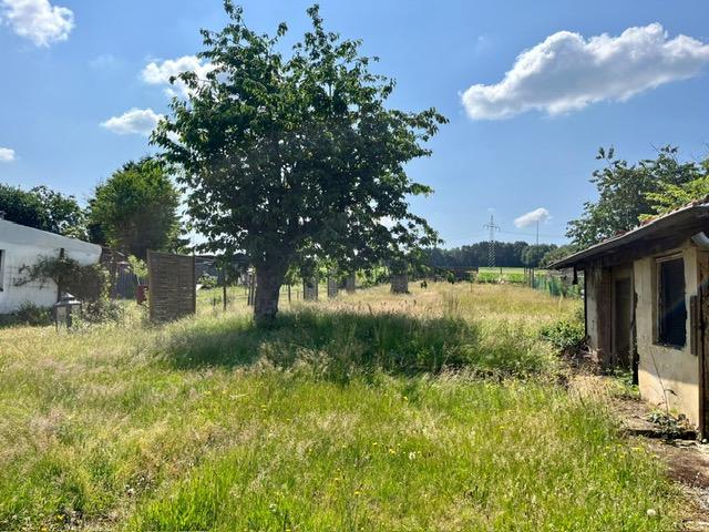 Garten (2)