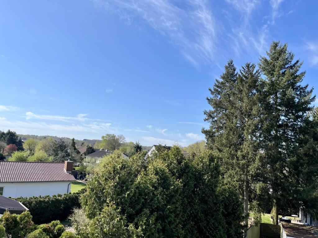 Ausblick 