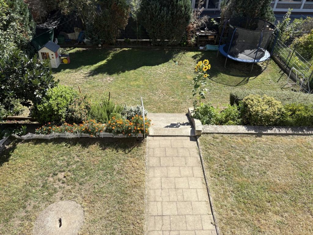 Garten 