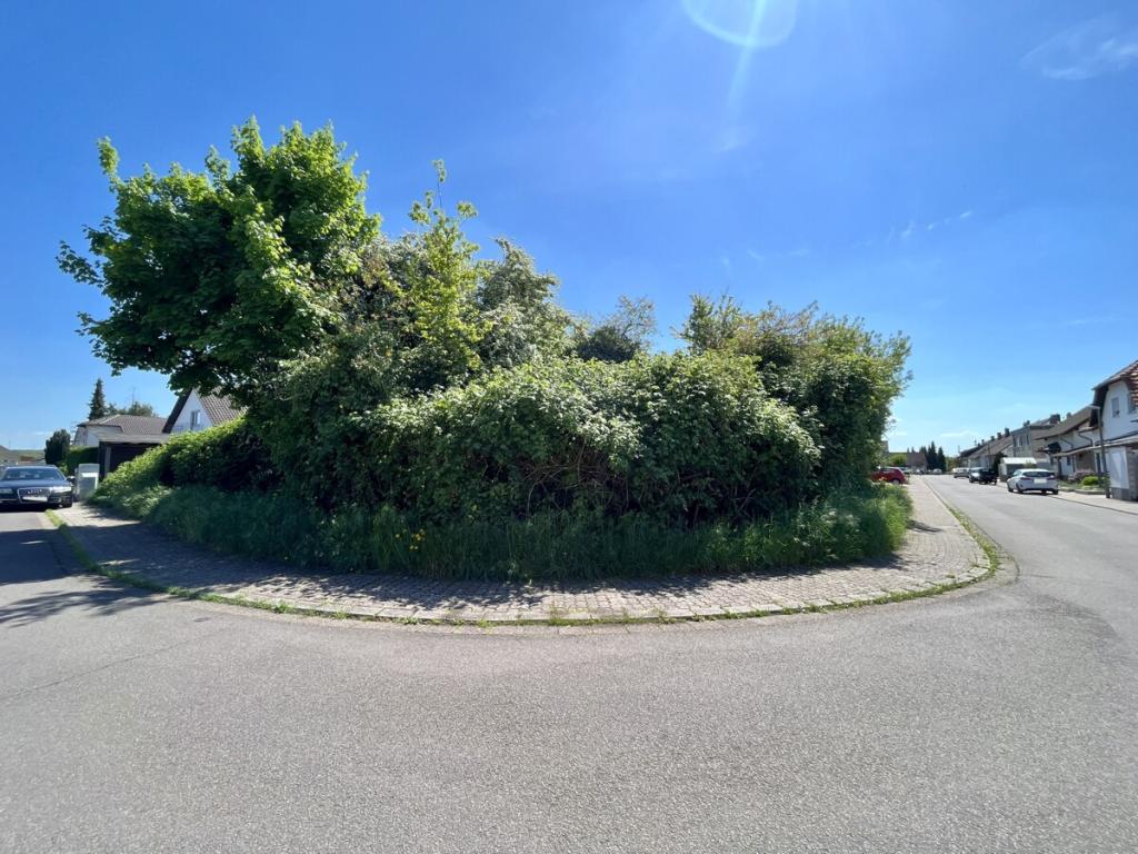 Baugrundstück 