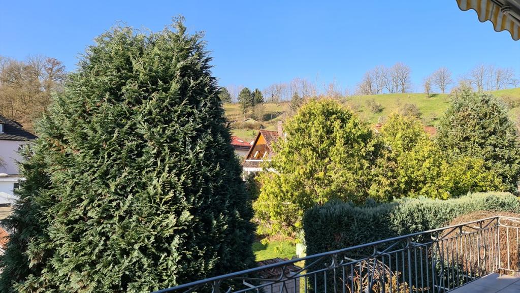 Vermieten helle sonnige 3 Zimmer Wohnung in Birkenau - Photo 4