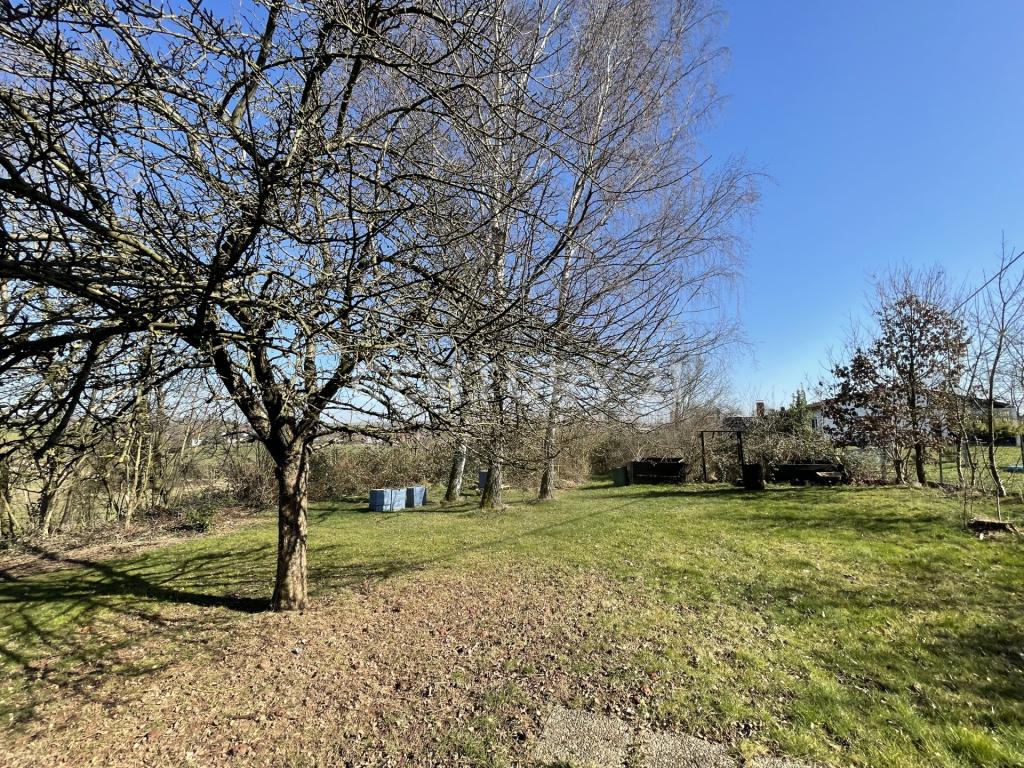 Großer Garten