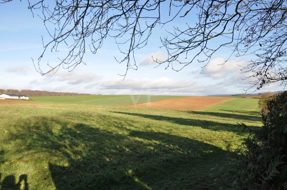 Naturnahe Lage direkt am Feldrand 