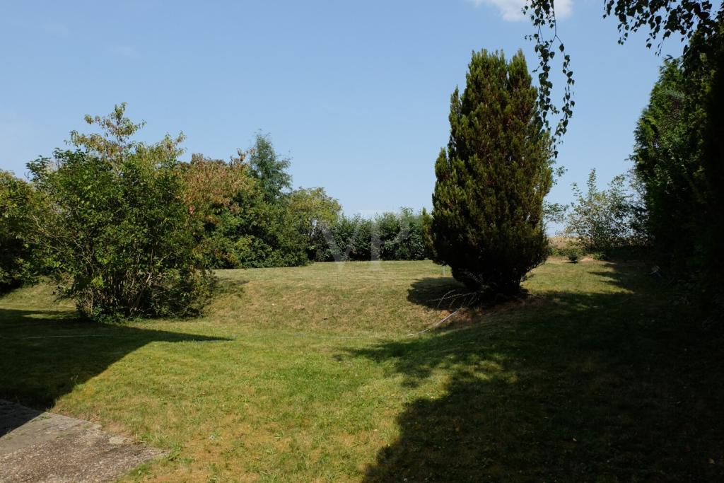großzügiger Garten