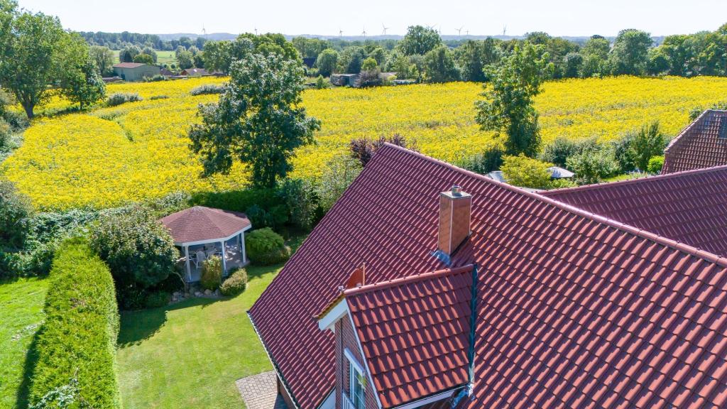Blick ins Feld