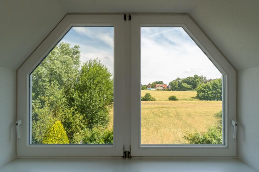 Blick aus dem Fenster DG